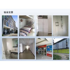 北京電子廠  招聘  女158以上，男165以上，年齡16-40歲