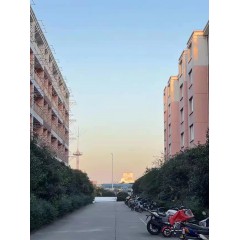 南京中電熊貓晶體  招聘：男18-35周歲，女18-40周歲。